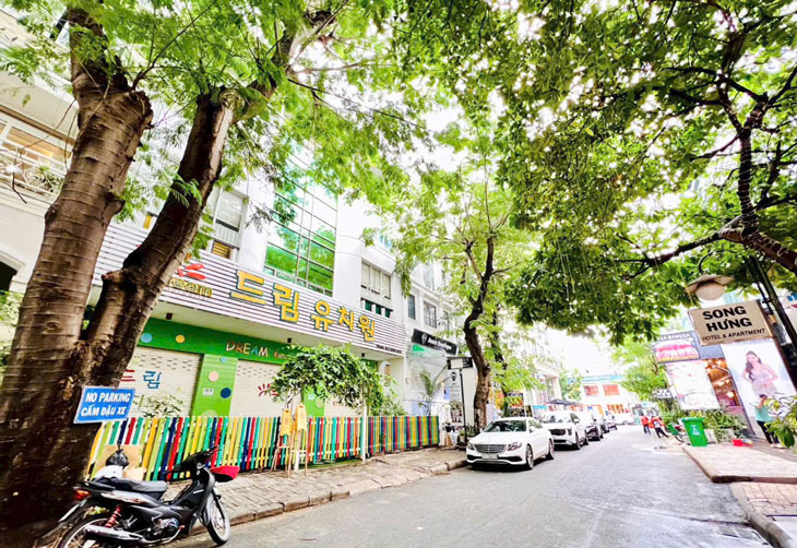 Cho Thuê Cặp Nhà Phố Nội Khu Hưng Phước 2 Phú Mỹ Hưng Quận 7
